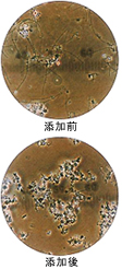 粉末製品との溶解性比較グラフ